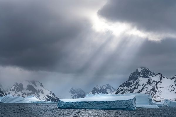 Antarctica-South Georgia Island Sunbeams light up icebergs
